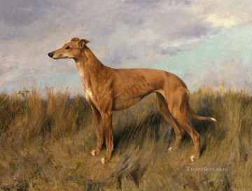 Arthur Wardle Painting - Henrietta Horn A Greyhound Arthur Wardle dog